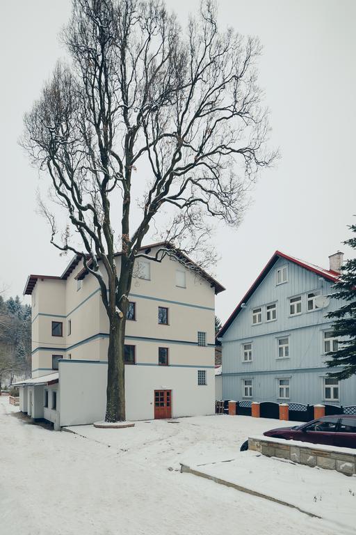Pensjonat Limba Duszniki Zdrój Eksteriør bilde